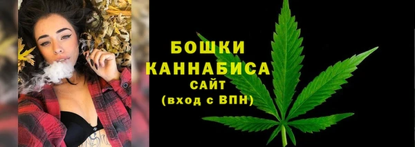 мяу мяу мука Вязьма