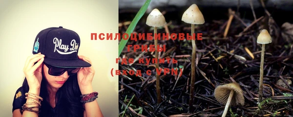 марки nbome Вяземский
